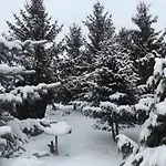 Opusztaszeri Mozes Vendeghaz * اوبوسزتاسزير