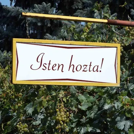 Gæstehus Opusztaszeri Mozes Vendeghaz