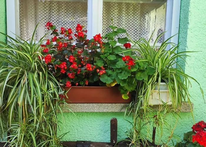 Casa de hóspedes ópusztaszeri Mózes *
