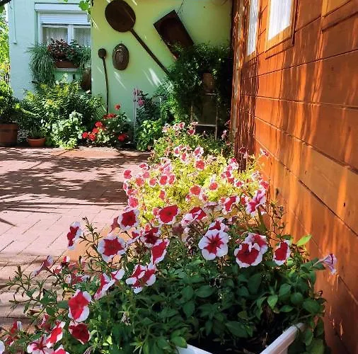 Casa de hóspedes ópusztaszeri Mózes